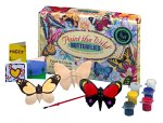 Butterfly Painting Kit