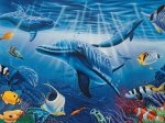 Dolphins Puzzle